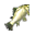 Large Zander