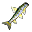 Goby